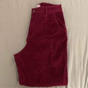 hollister corduroy pants